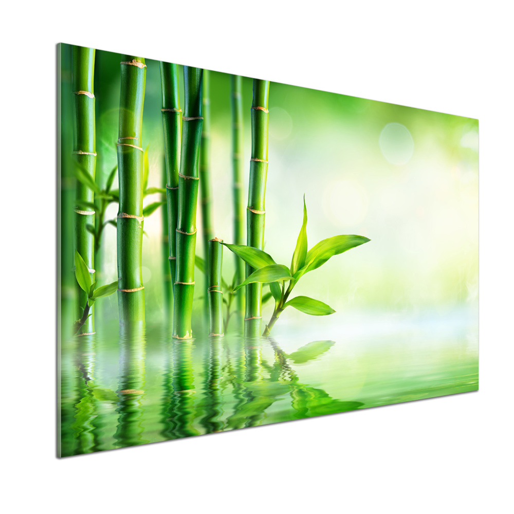 Panel szklany do kuchni Bambus