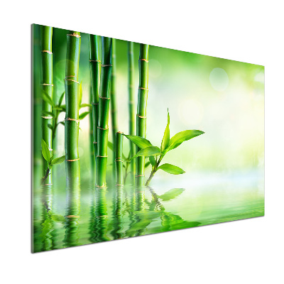 Panel szklany do kuchni Bambus