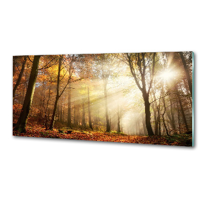 Panel dekor szkło Mgła w lesie