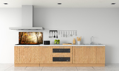 Panel dekor szkło Mgła w lesie