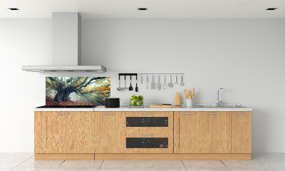 Panel dekor szkło Stare drzewo