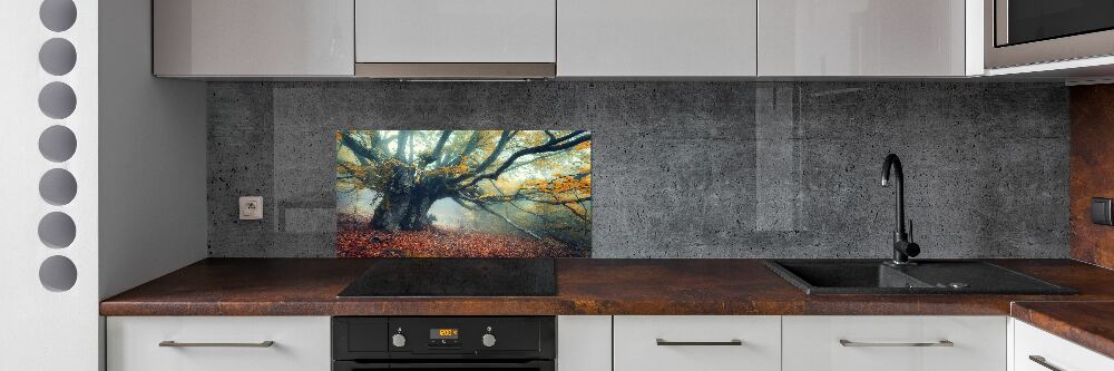 Panel dekor szkło Stare drzewo