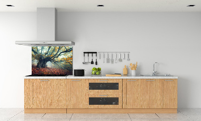 Panel dekor szkło Stare drzewo