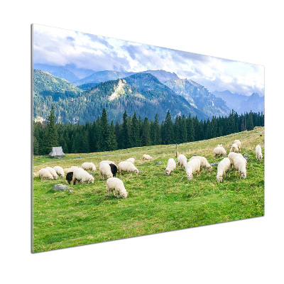 Panel do kuchni Owce w Tatrach