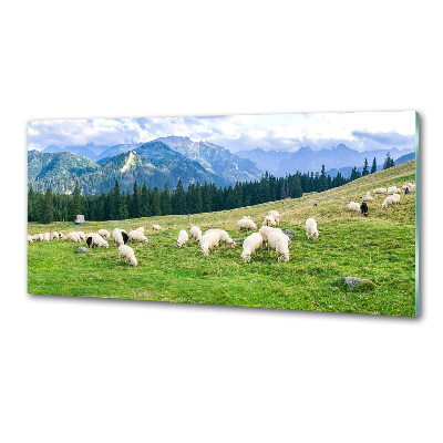 Panel do kuchni Owce w Tatrach