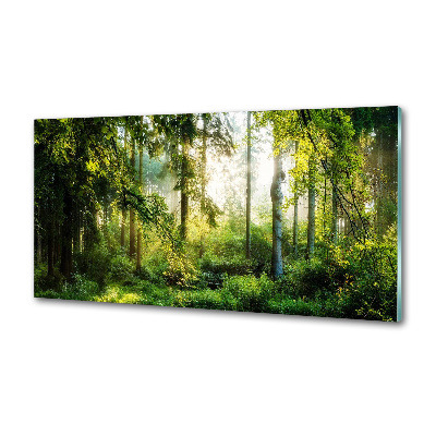 Panel do kuchni Poranne słońce las