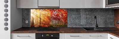 Panel dekor szkło Jesienny las