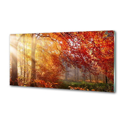 Panel dekor szkło Jesienny las