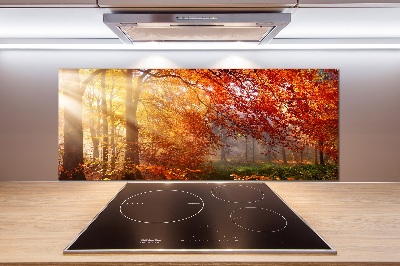 Panel dekor szkło Jesienny las