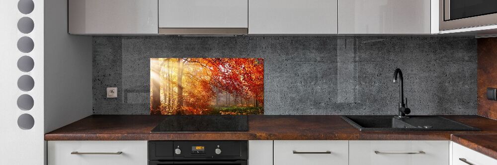 Panel dekor szkło Jesienny las