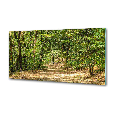 Panel do kuchni Leśna ścieżka