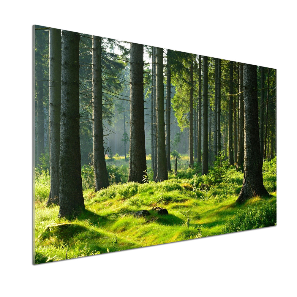 Panel do kuchni Las świerkowy