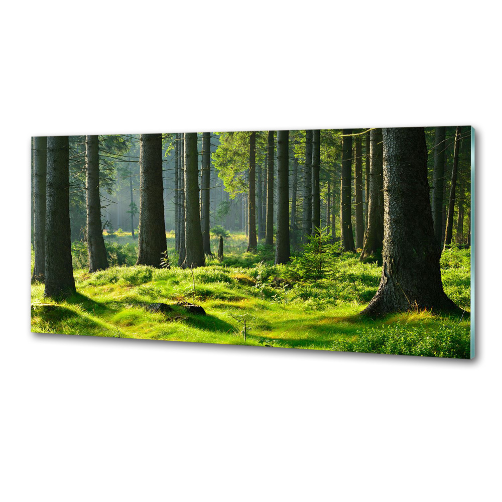 Panel do kuchni Las świerkowy