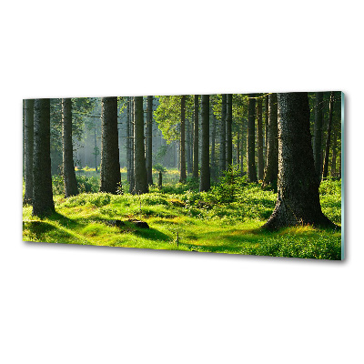 Panel do kuchni Las świerkowy