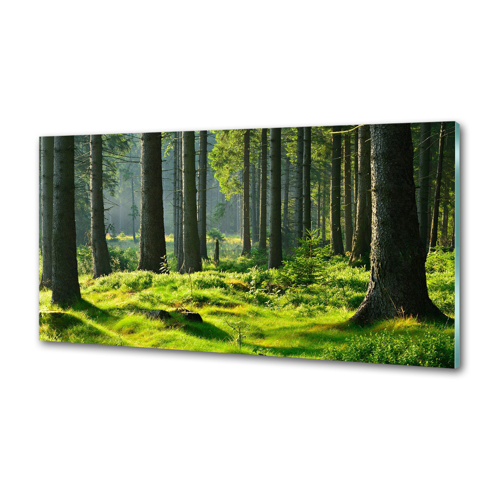 Panel do kuchni Las świerkowy