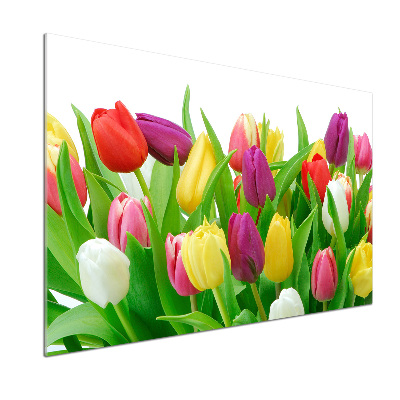 Panel do kuchni Kolorowe tulipany
