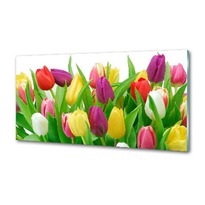 Panel do kuchni Kolorowe tulipany