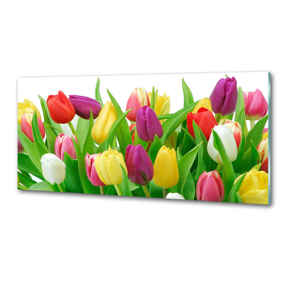 Panel do kuchni Kolorowe tulipany