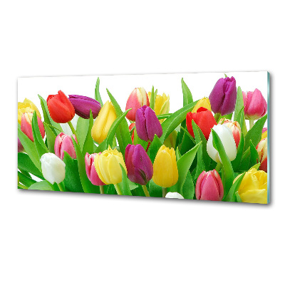 Panel do kuchni Kolorowe tulipany
