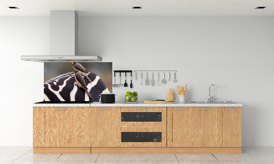 Panel do kuchni Ptaki i zebra