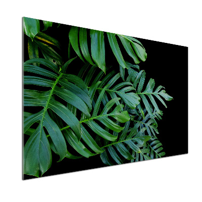 Panel między meble w kuchni Monstera