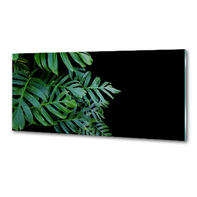 Panel między meble w kuchni Monstera