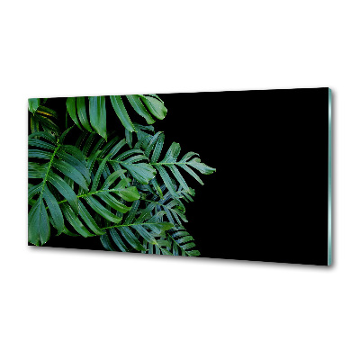 Panel między meble w kuchni Monstera