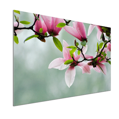 Panel między meble w kuchni Magnolia