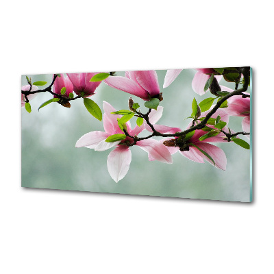 Panel między meble w kuchni Magnolia