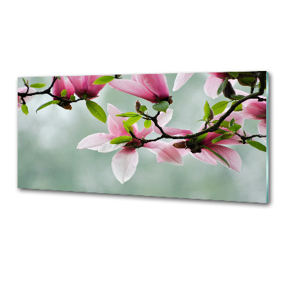 Panel między meble w kuchni Magnolia