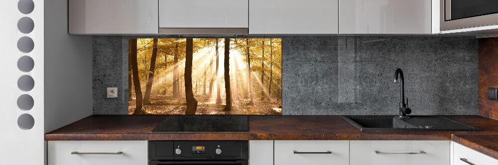 Panel dekor szkło Las jesienią