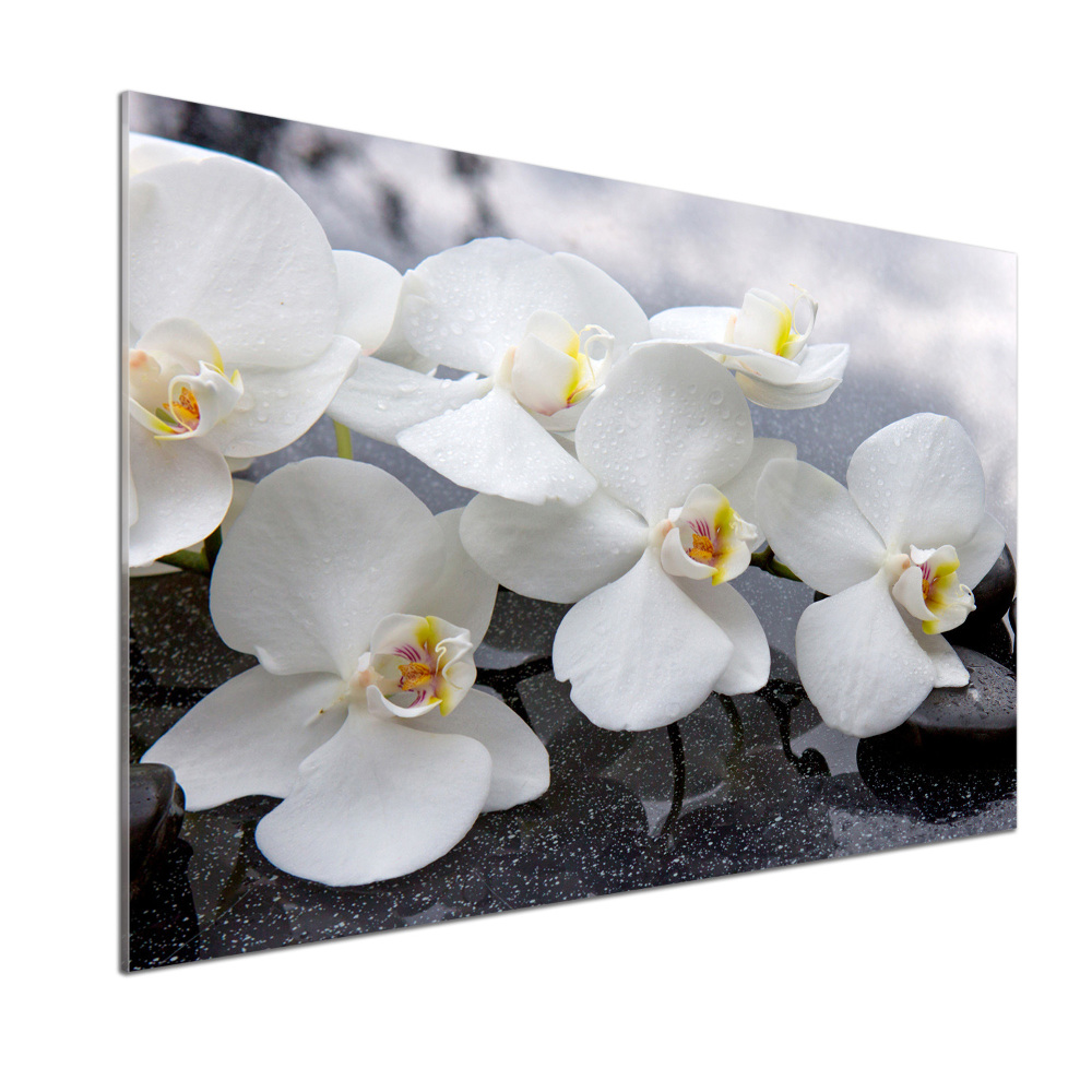Panel między meble w kuchni Orchidea