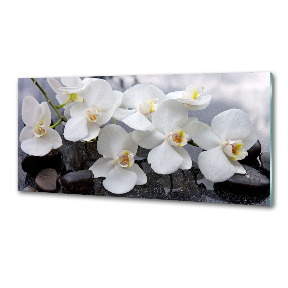 Panel między meble w kuchni Orchidea