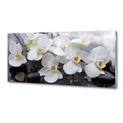 Panel między meble w kuchni Orchidea