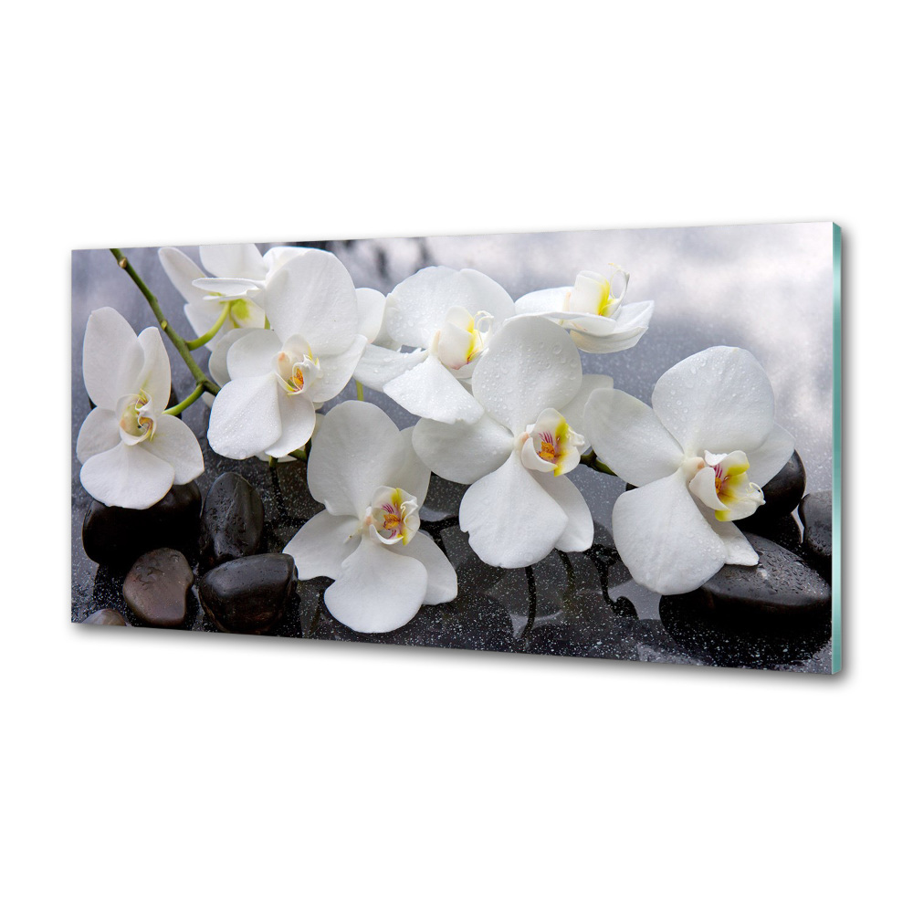 Panel między meble w kuchni Orchidea
