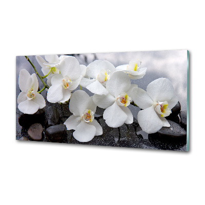 Panel między meble w kuchni Orchidea