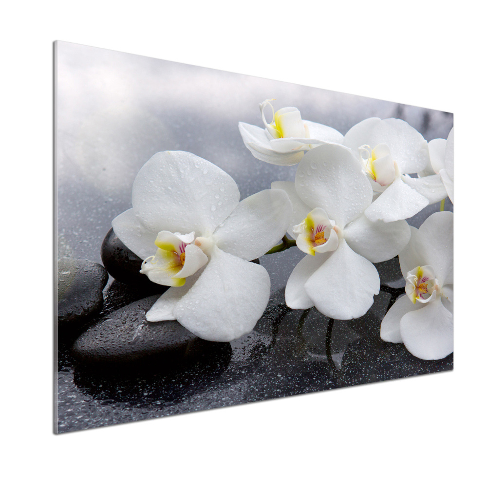 Panel między meble w kuchni Orchidea