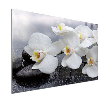 Panel między meble w kuchni Orchidea