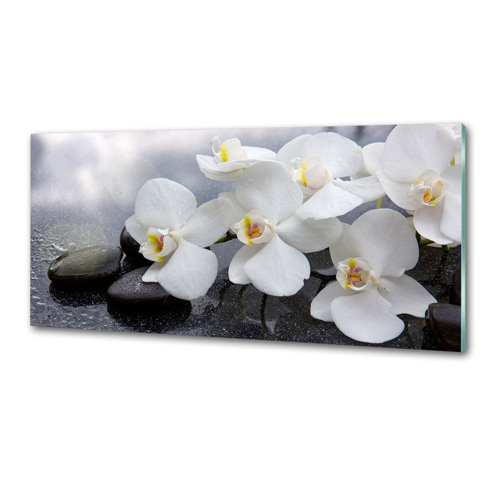 Panel między meble w kuchni Orchidea