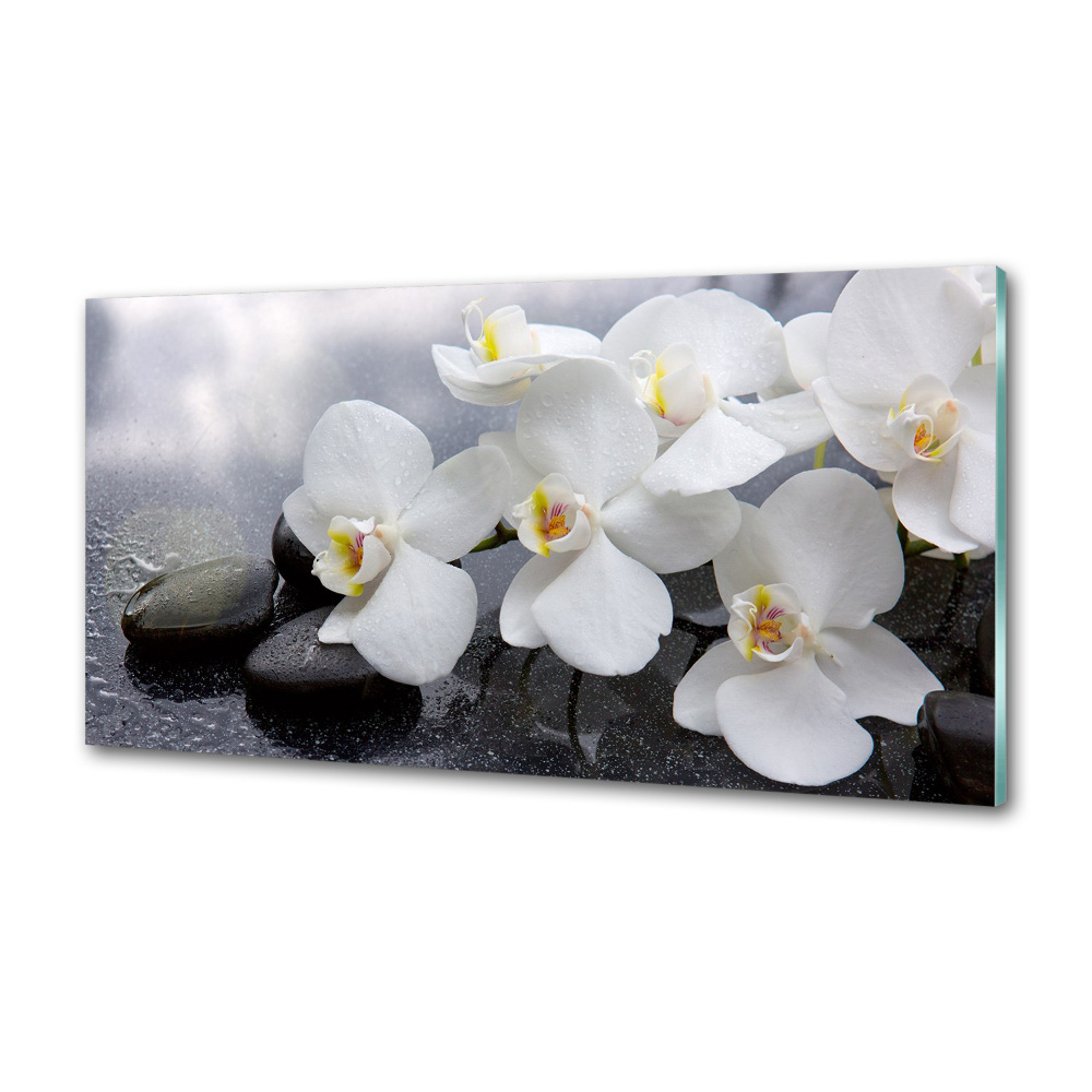 Panel między meble w kuchni Orchidea
