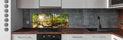 Panel dekor szkło Panorama las