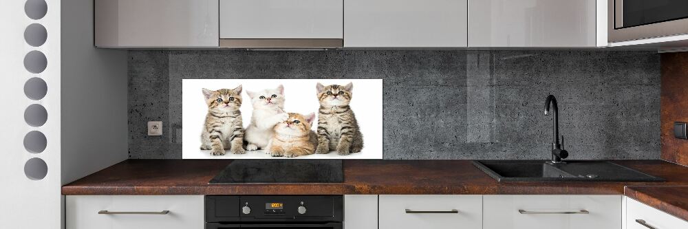 Panel między meble w kuchni Małe koty