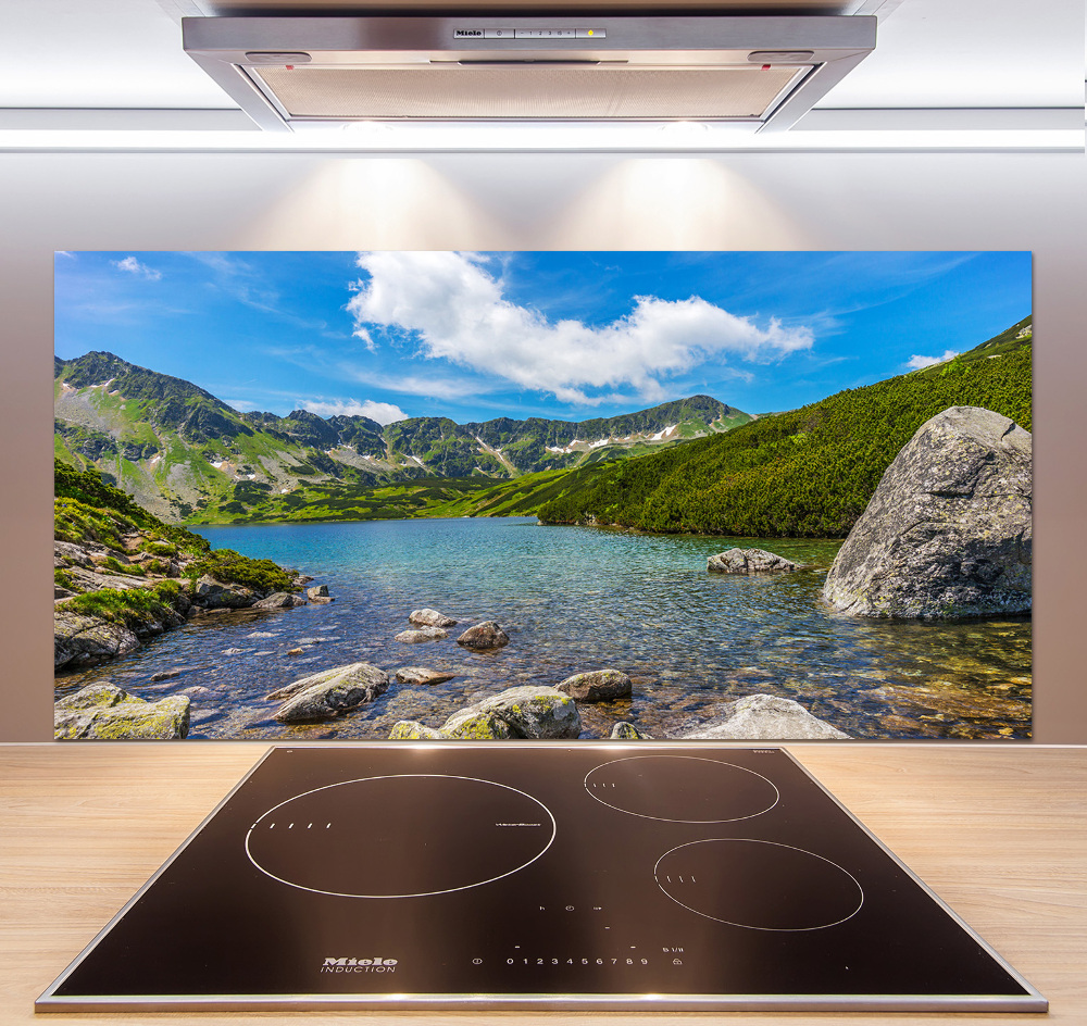 Panel dekor szkło Dolina Tatry