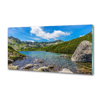 Panel dekor szkło Dolina Tatry