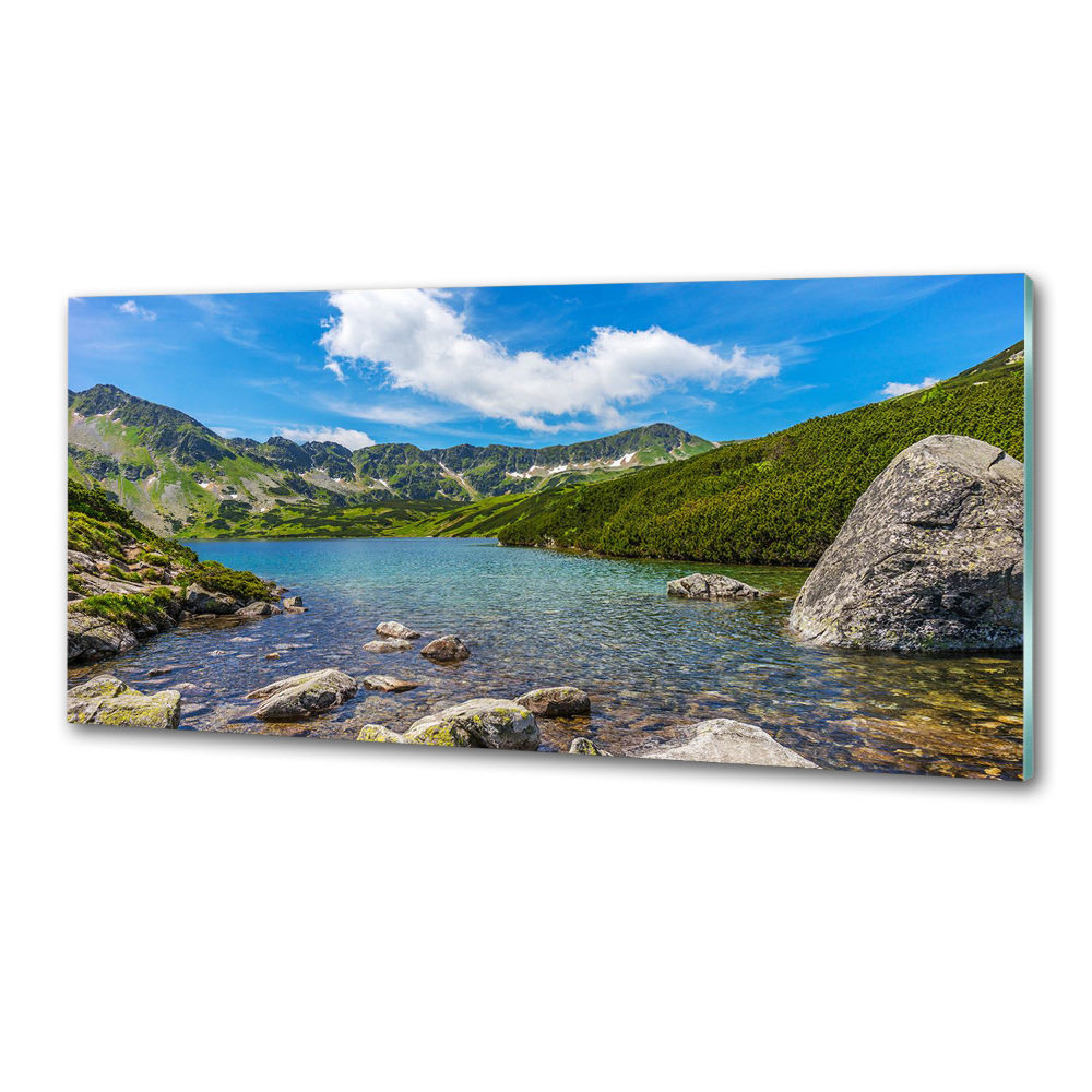 Panel dekor szkło Dolina Tatry