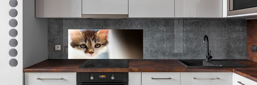 Panel między meble w kuchni Mały kot