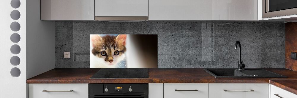 Panel między meble w kuchni Mały kot
