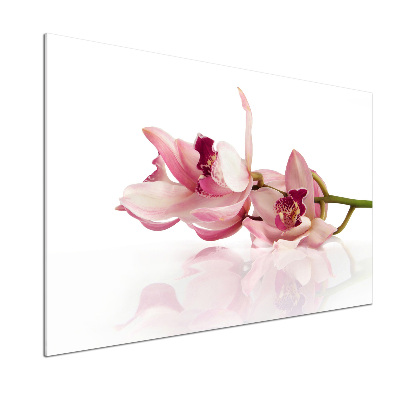 Panel między meble w kuchni Orchidea