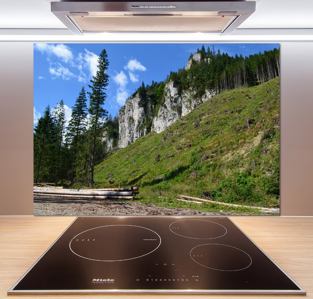 Panel do kuchni Skaliste szczyty