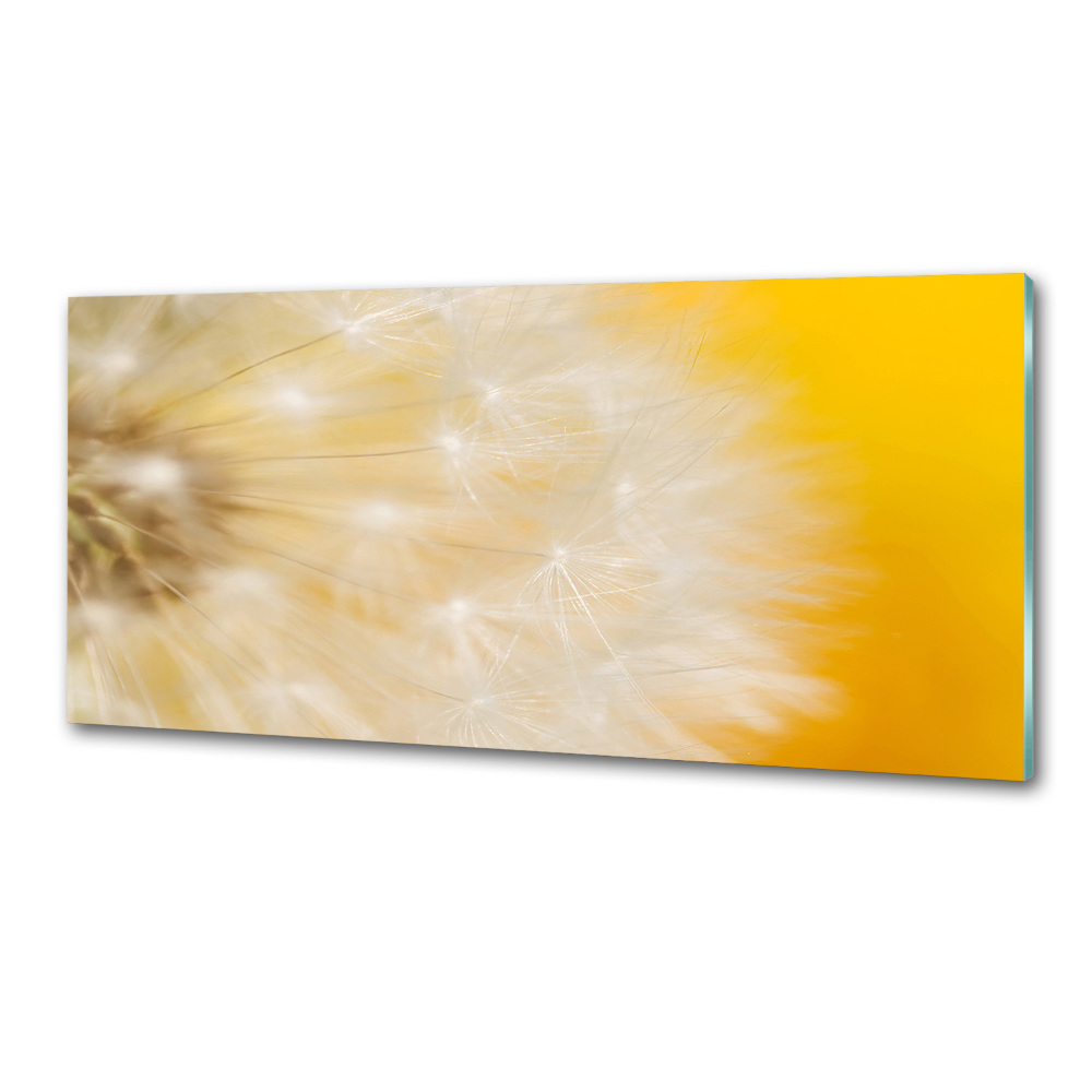 Panel dekor szkło Dmuchawiec